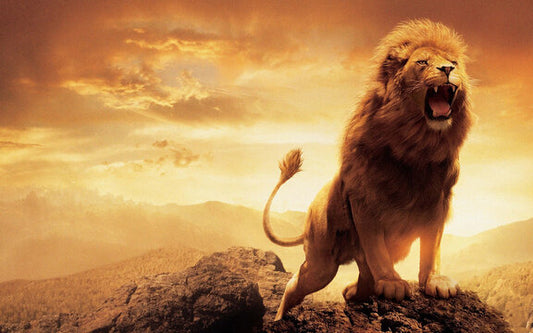 Babbar Sher