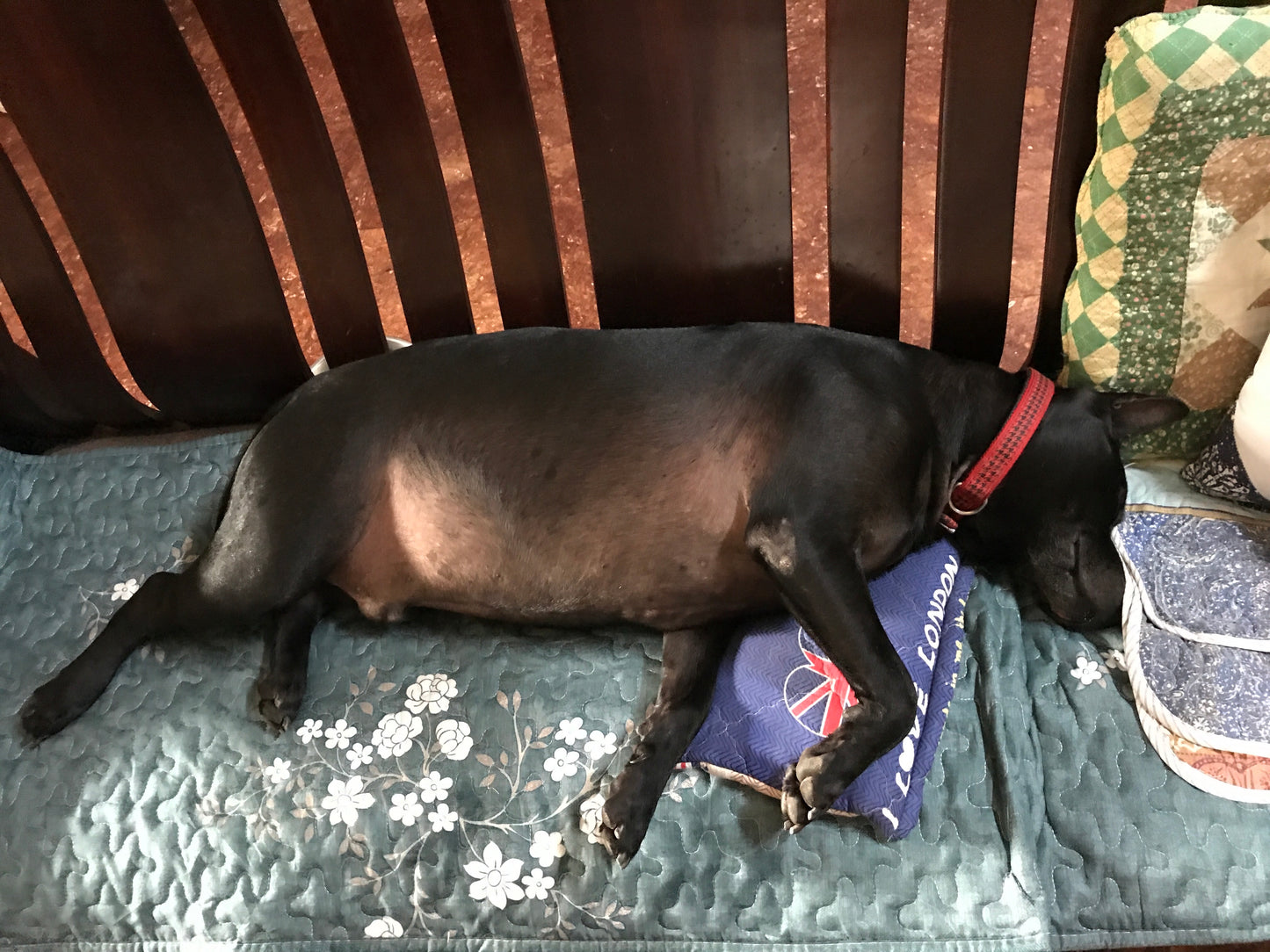 Gremlins products with variant 0921-abc