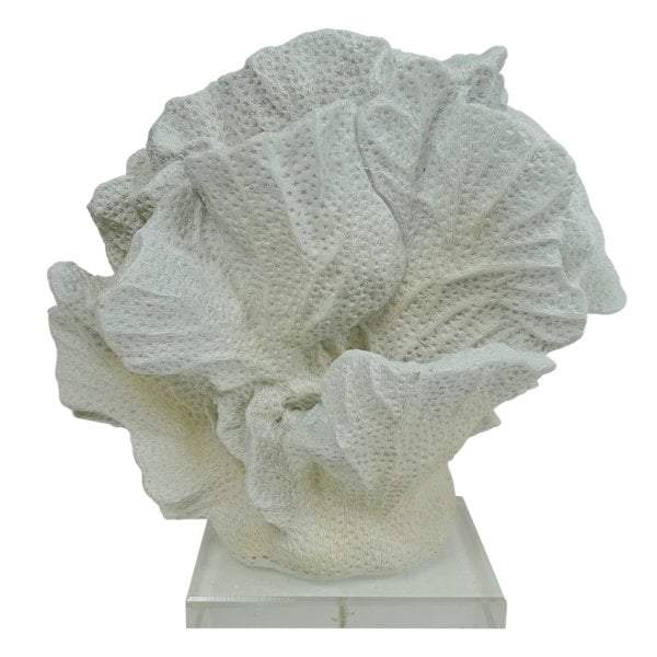 Coral Decor w Acrylic Base-abc