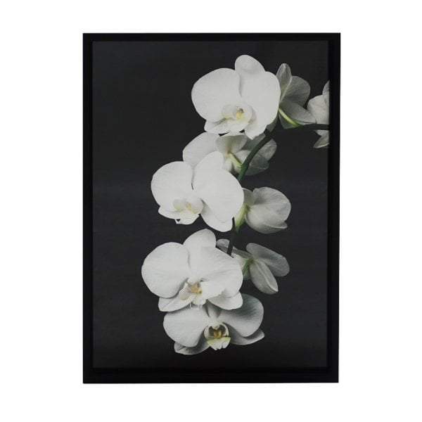 Orchid Print Wall Art-Wall Art-Searles Homewares-Default Title---abc