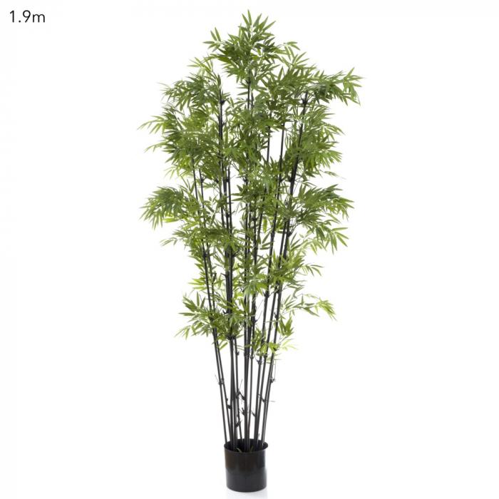 Japanese Bamboo Black Stem 1.9m-abc
