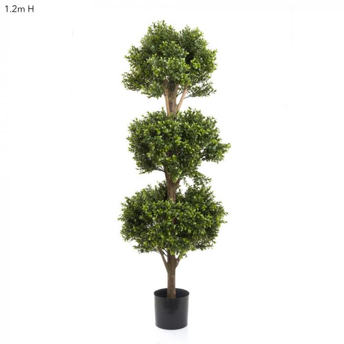 Boxwood Triple Ball Tree 1.2m 2412 Lvs-abc