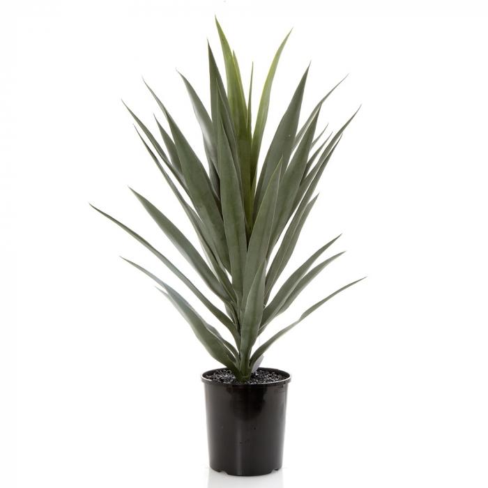 Yucca in Pot-Accessories-Florabelle-Default Title---abc