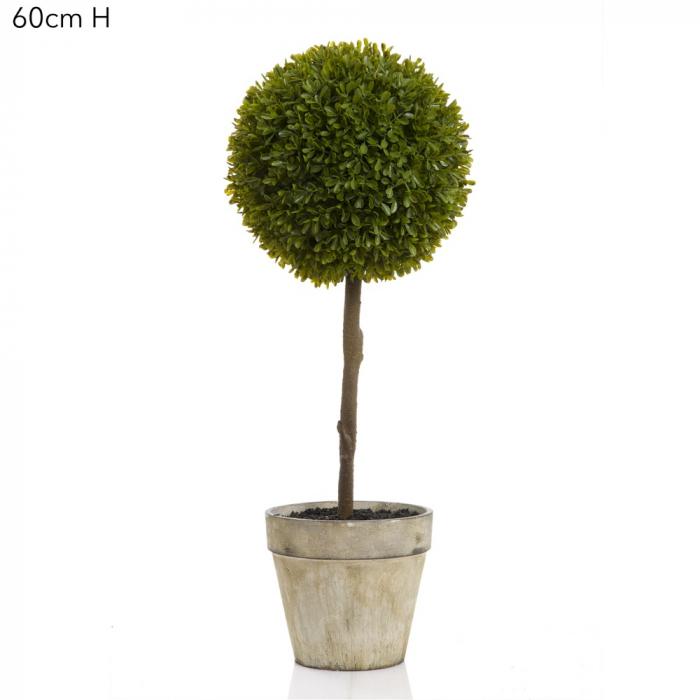 Boxwood Topiary 60cm Green-abc