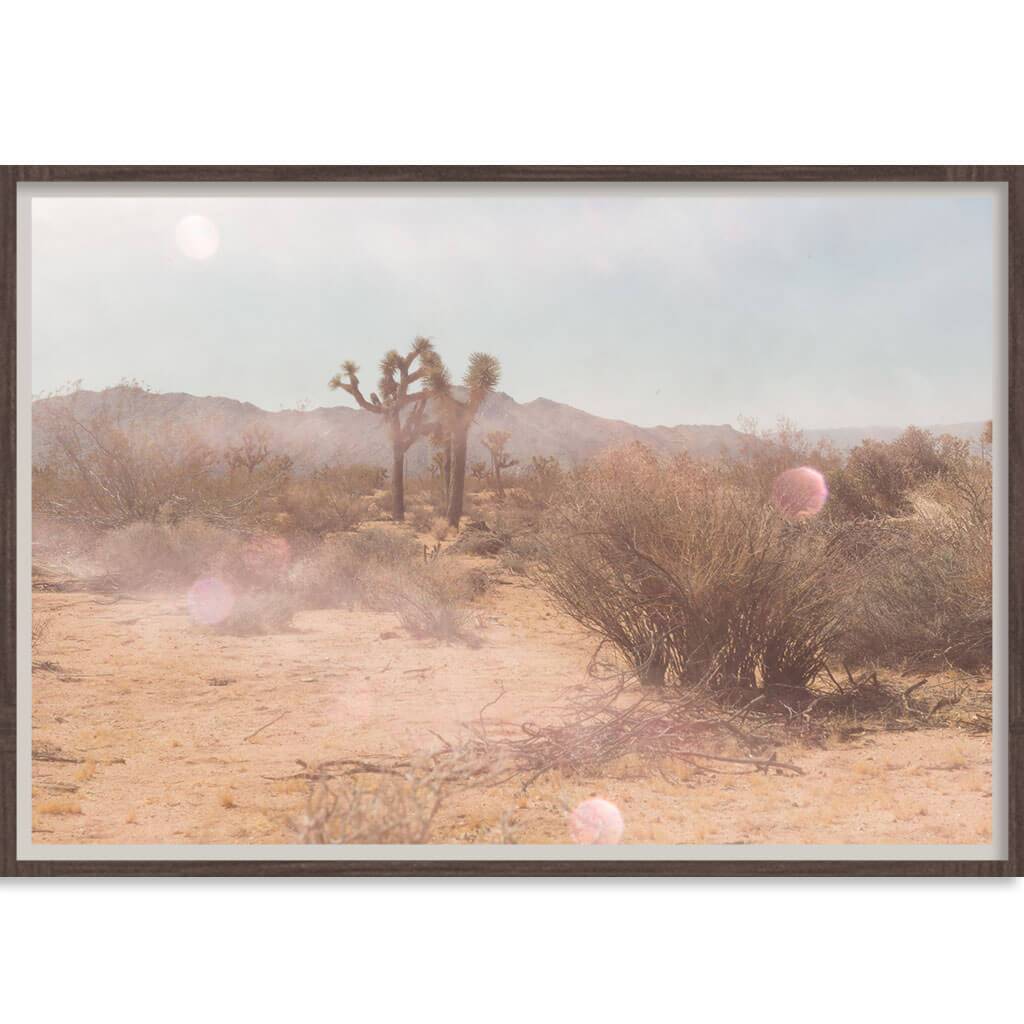Mystic Desert-abc