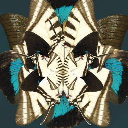 Winter Wings Artwork-Accessories-Bandhini Homewear Design-No Leaf-76cm x 115cm--abc