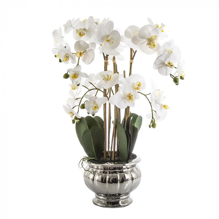 Potted Orchid in Silver Bowl Lge White-Accessories-Florabelle-Default Title---abc