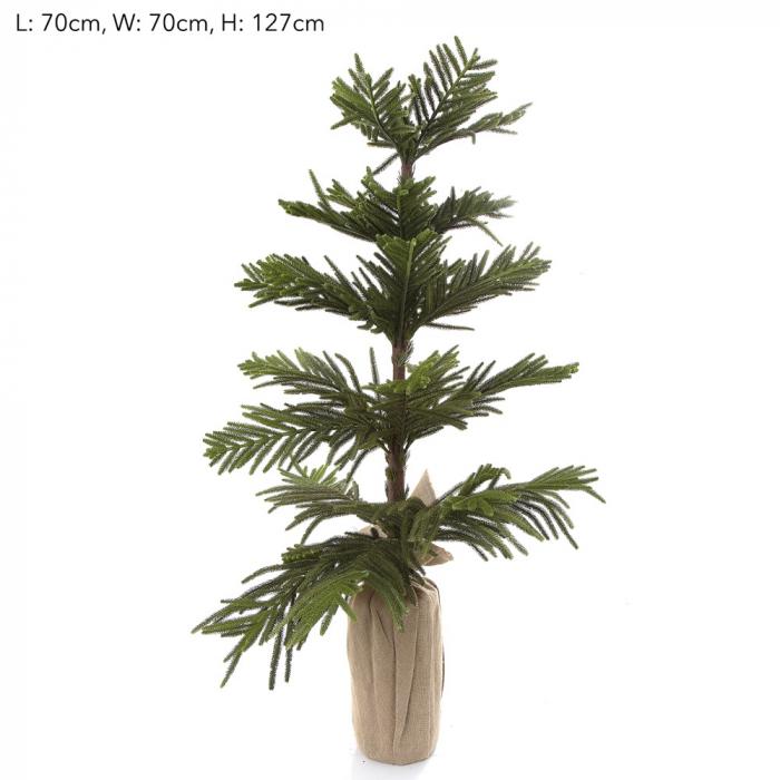 Exotic Cypress Tree 127cm-abc