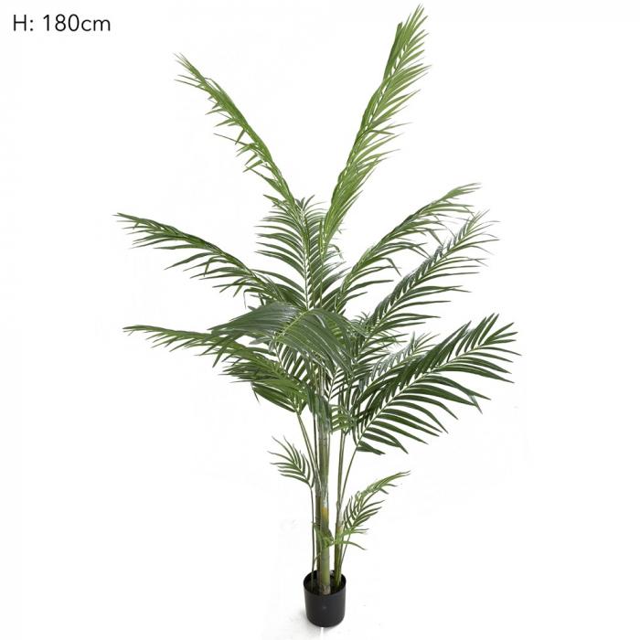 potted areca palm 593 lvs 183cm-Accessories-Florabelle-Default Title---abc