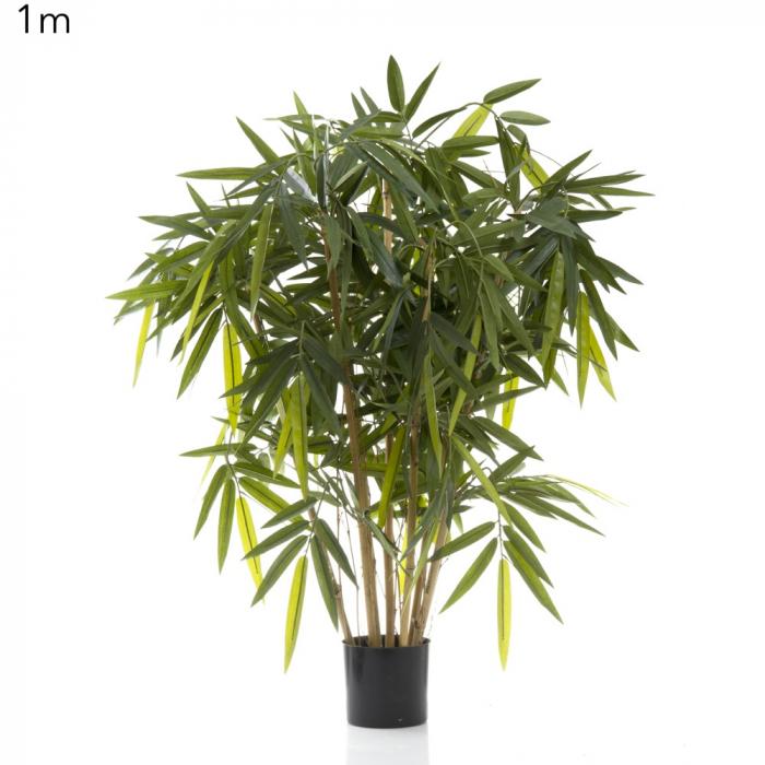 New Bamboo Tree 1m-abc
