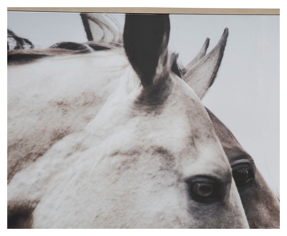 Wild Horses Wall Art-Accessories-Home & Giftware-Default Title---abc