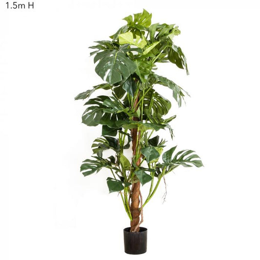 Split-Leaf Philodendron 1.5m-Accessories-Florabelle-Default Title---abc