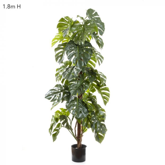 Split-Leaf Philodendron 1.8m-Accessories-Florabelle-Default Title---abc