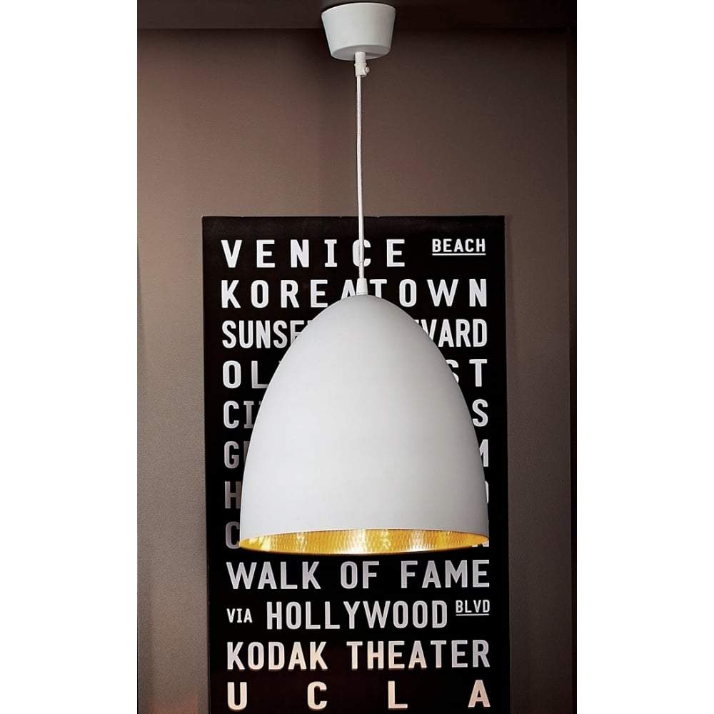 Egg Ceiling Lamp White Silver-abc