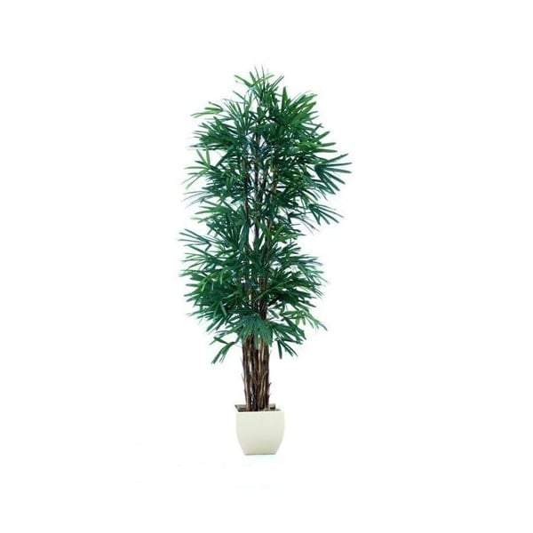 Raphis Palm (Thin Leaf) 2.4m-Outdoor Accessories-Emac & Lawton-Default Title---abc