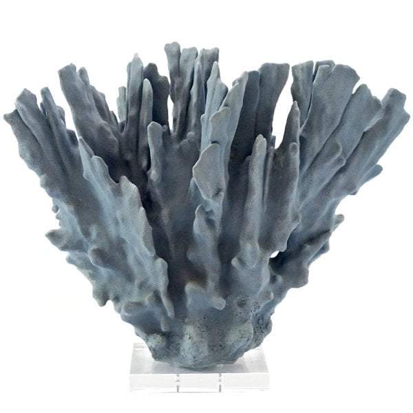 Coral Decor with Crystal Glass Base-abc