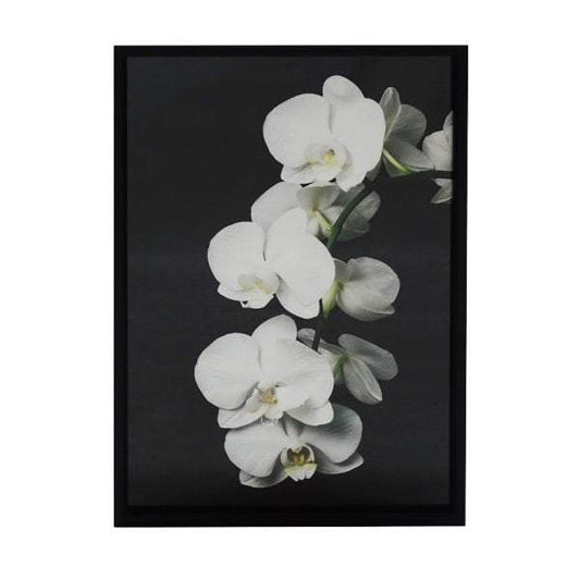 Orchid Print Wall Art-Wall Art-Searles Homewares-Default Title---abc