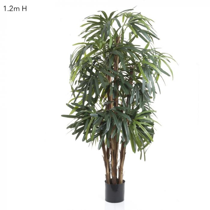 Raphis Palm (Thin Leaf) 1.2m-Accessories-Florabelle-Default Title---abc