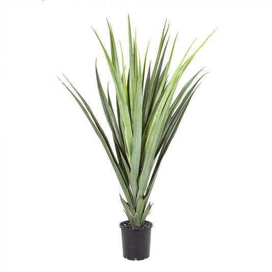 Pandanus Head Lge 1.4m Potted-Accessories-Florabelle-Default Title---abc