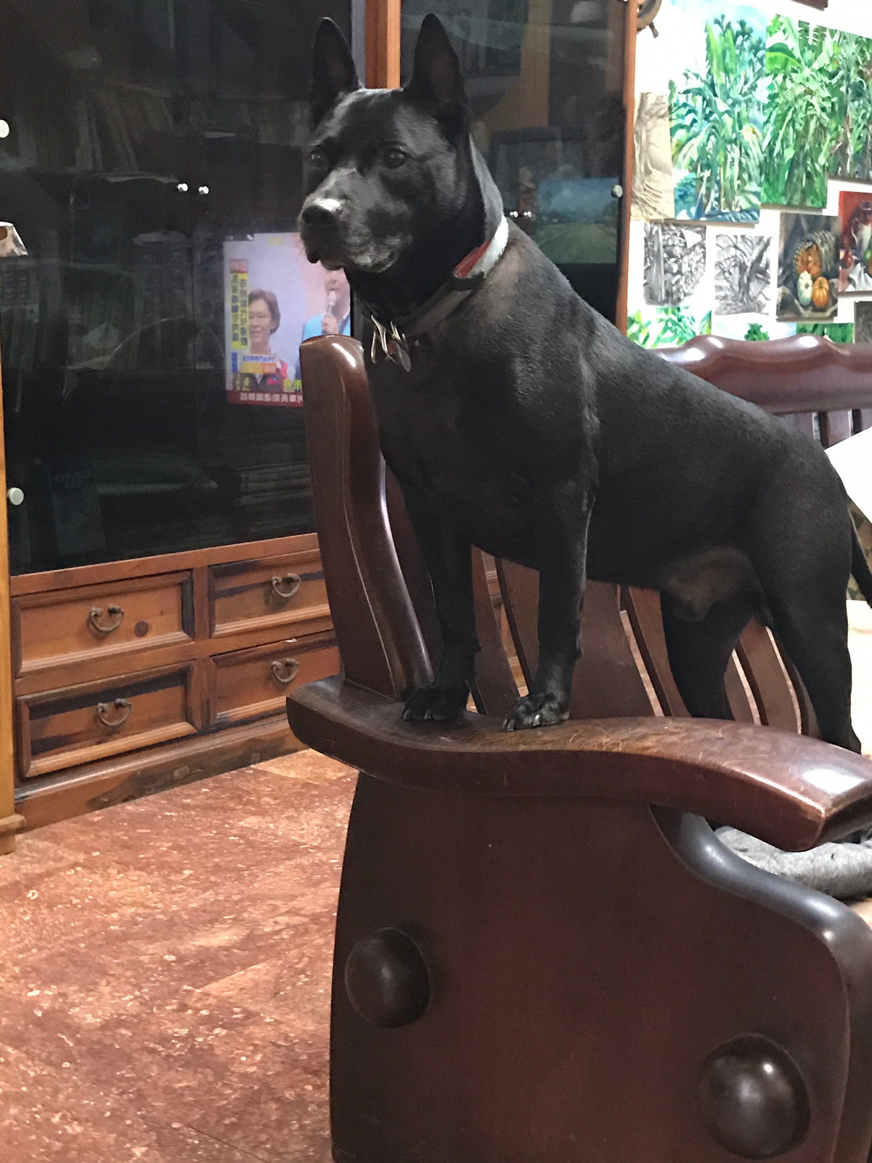 new product with variant 0818-abc