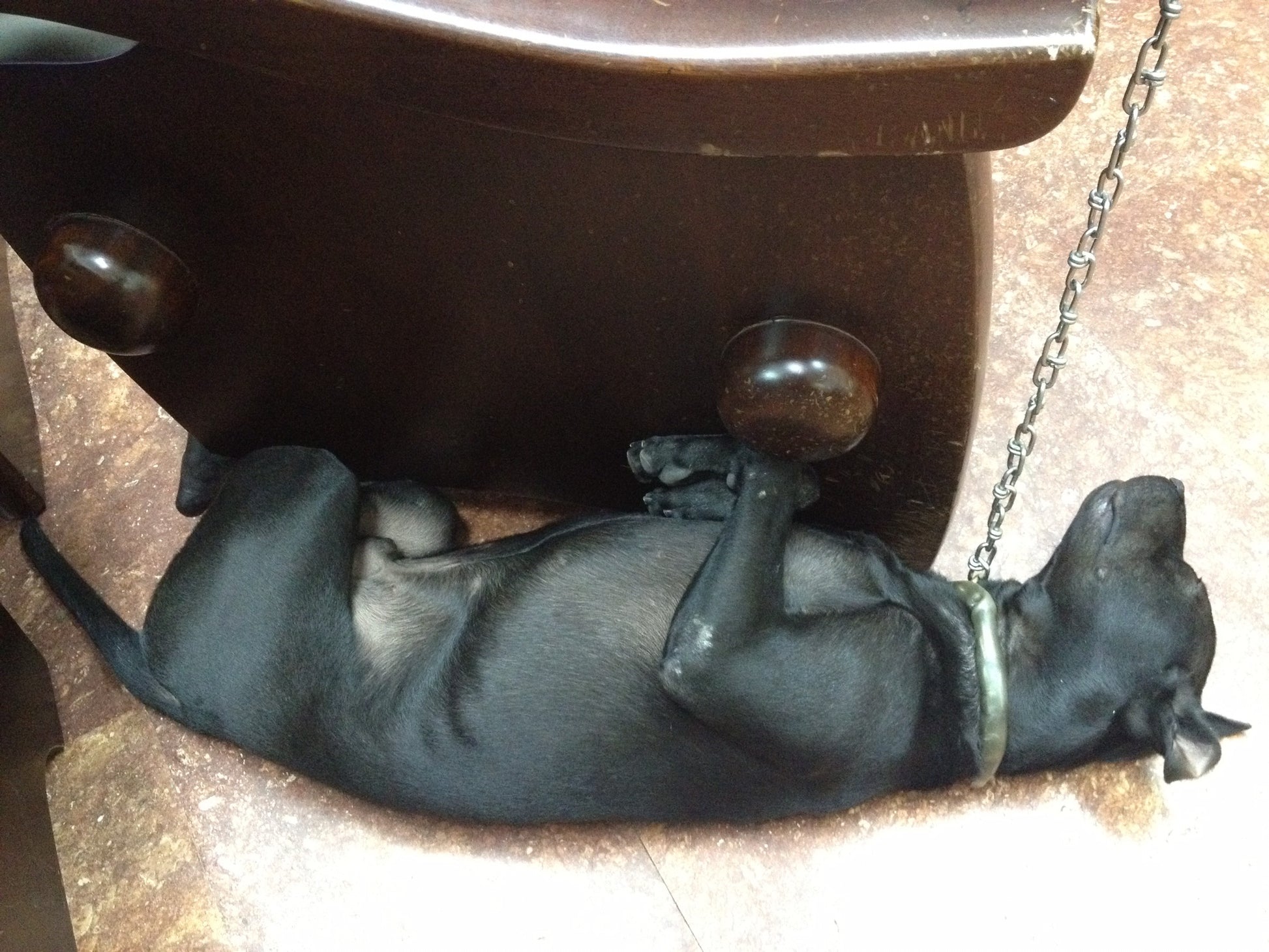 new product without variant 0818-abc