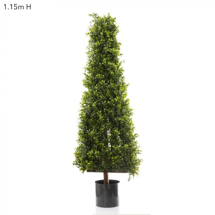 Boxwood Pyramid Tree 1.15m-abc
