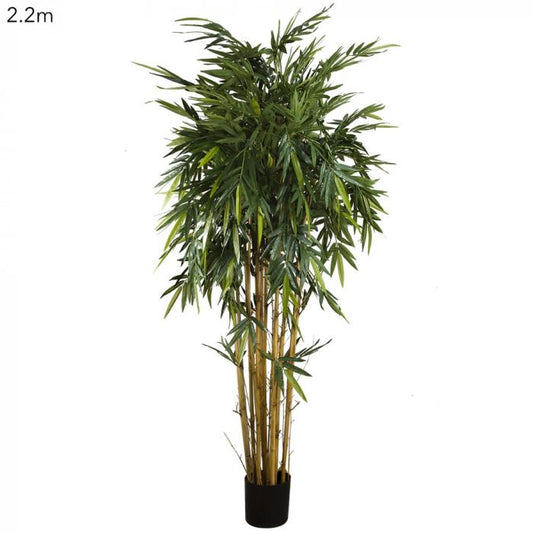 New Bamboo Tree 2.2m-abc