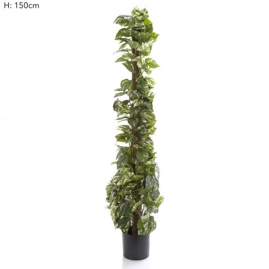 Pothos Vines on Coconut Pole 1.5m 300Lvs-Accessories-Florabelle-Default Title---abc