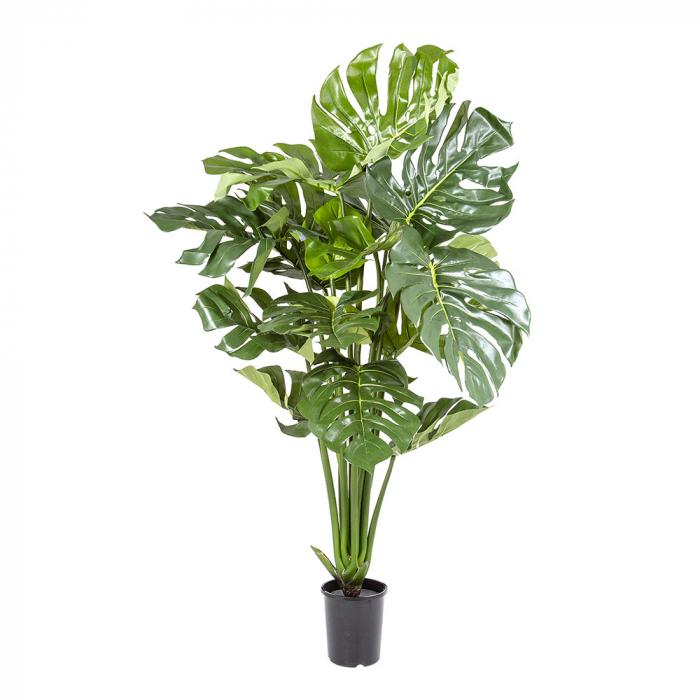 Split Leaf Philo 1.2m Potted-Accessories-Florabelle-Default Title---abc