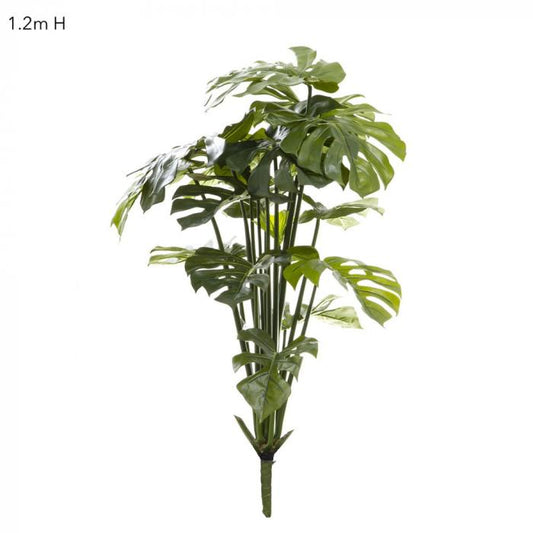 Split-Leaf Philodendron 1.2m No pot-Accessories-Florabelle-Default Title---abc