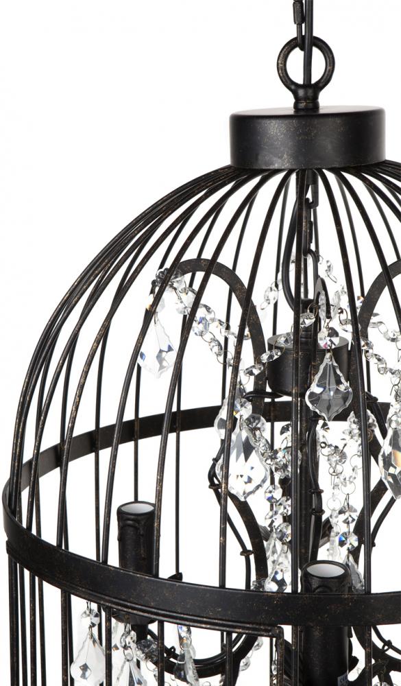 Macaw Chandelier - 8 Arm-abc