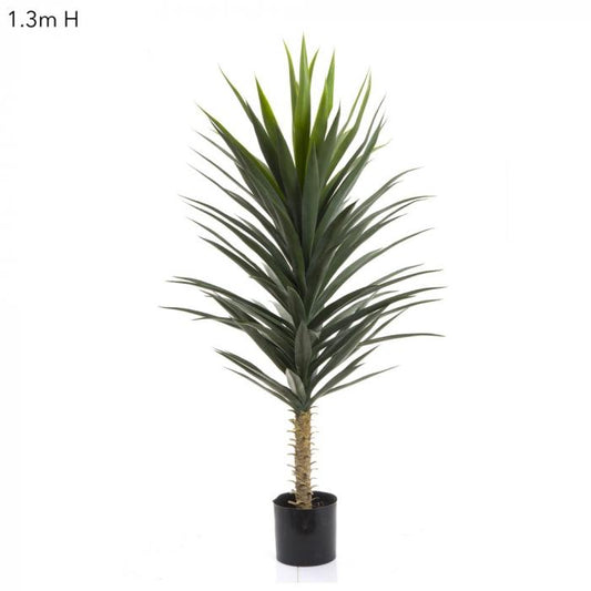 Yucca Plant W/102 Lvs 1.3m-Accessories-Florabelle-Default Title---abc