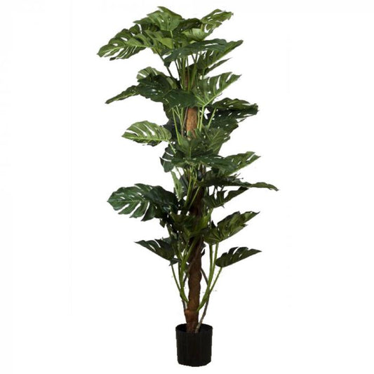 Split-Leaf Philodendron 1.9m-Accessories-Florabelle-Default Title---abc