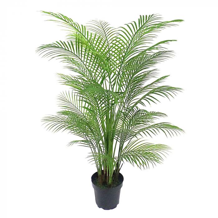 Palm Tree 1.65m-Accessories-Florabelle-Default Title---abc