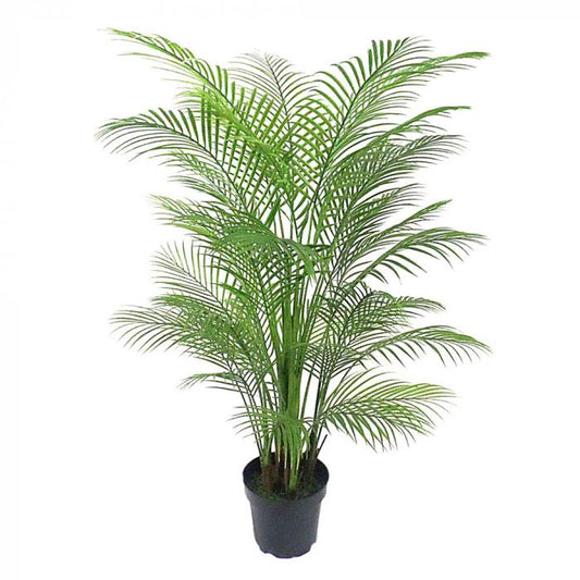Palm Tree 1.65m-Accessories-Florabelle-Default Title---abc