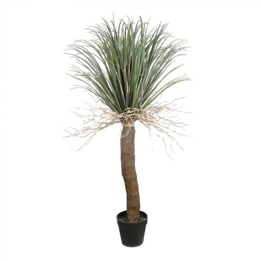 Grass Tree Lge-abc
