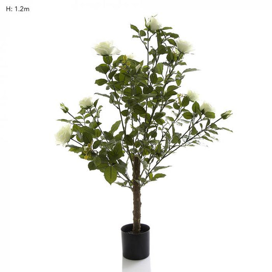 Rose Bush Tree 1m White-Accessories-Florabelle-Default Title---abc