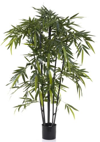 New Bamboo Tree Black Stem 1.5m-abc