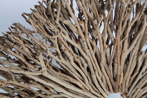 Masai Wooden Tea Tree Wood Decor Twig Tree on Stand-abc