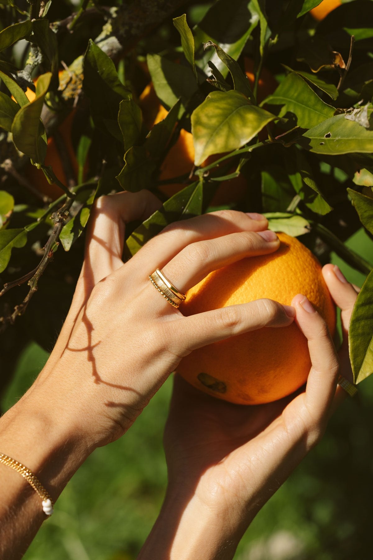 Eternity ring gold plated-abc