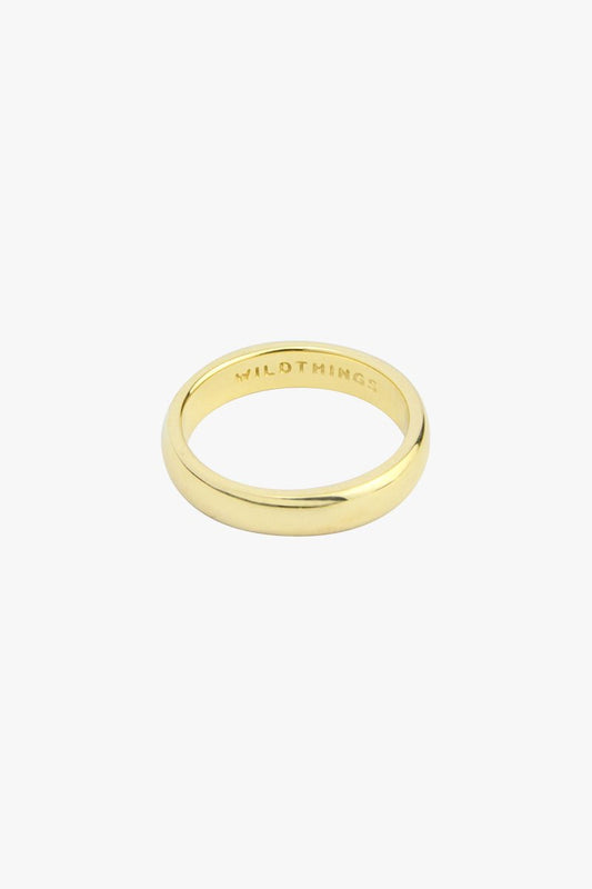 Pinky band gold plated-Ring-Wildthings_collectables-1 (US 3.5 / 14.5mm)-Gold plated--abc
