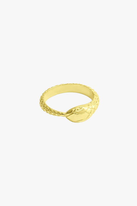 Snake ring gold plated-Ring-Wildthings_collectables-1 (US 6 / 16.5mm)-Gold plated--abc