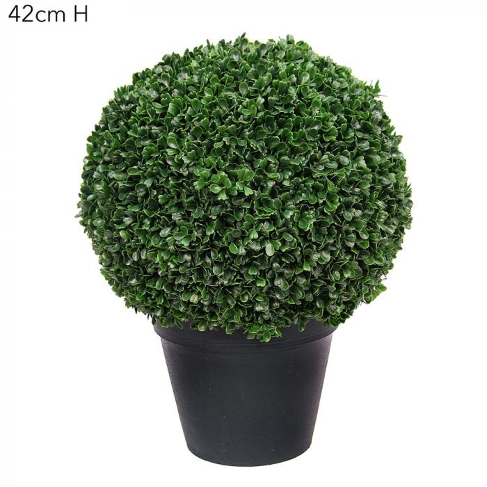 Boxwood Ball Potted 42cm Green-abc