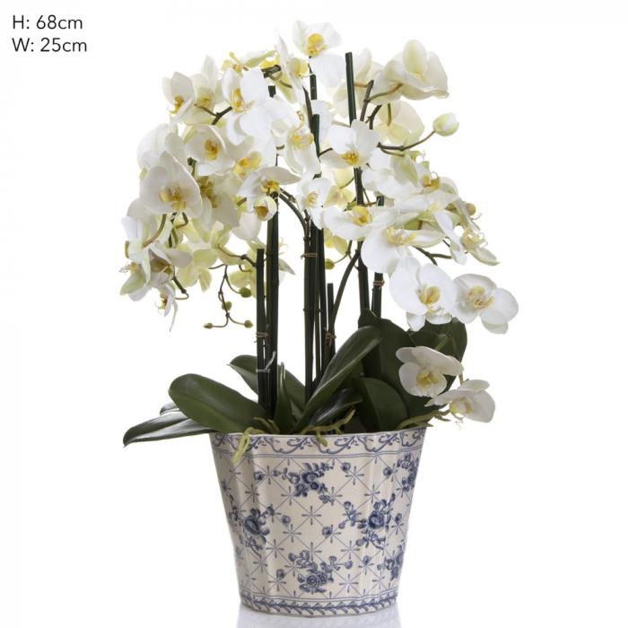 Phal in Blue/White Chinese Pot - White-Accessories-Florabelle-Default Title---abc