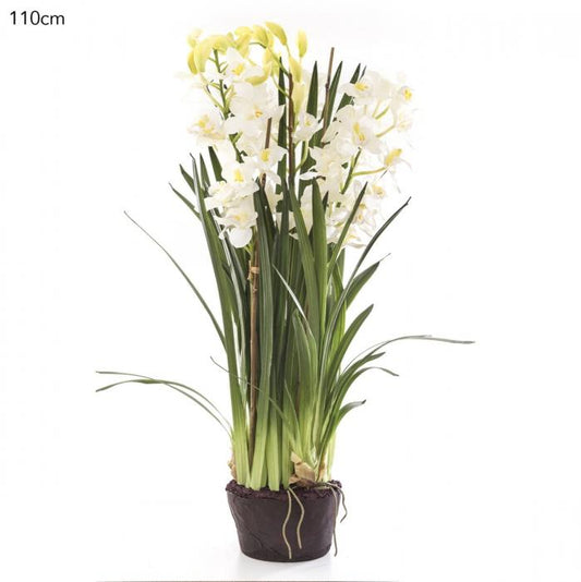 Cymbidium Giant Paper Pot 110cm White-abc
