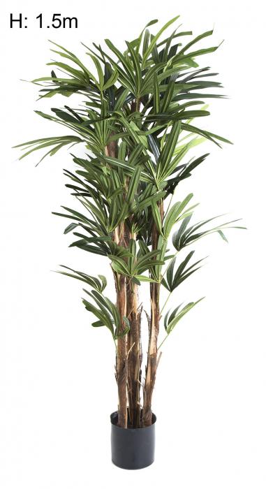 Raphis Palm W 333 Lvs 1.5m-Accessories-Florabelle-Default Title---abc