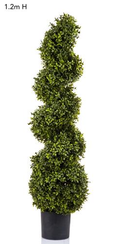 Boxwood Spiral Tree 1.2m-abc