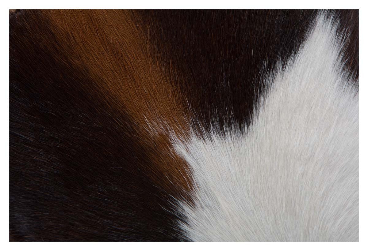 Round Cowhide Ottoman-Living-Home & Giftware-Default Title---abc