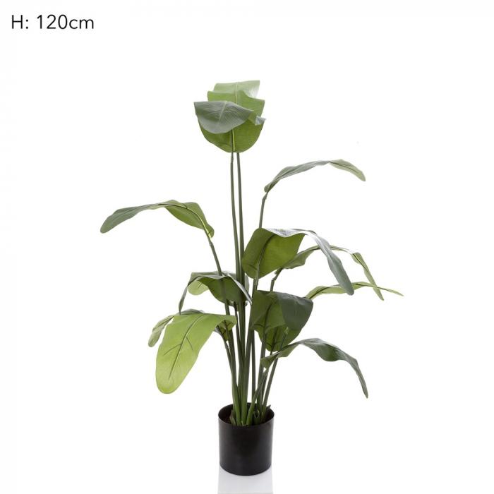 Travellers Palm 120cm W/14 Lvs-Accessories-Florabelle-Default Title---abc