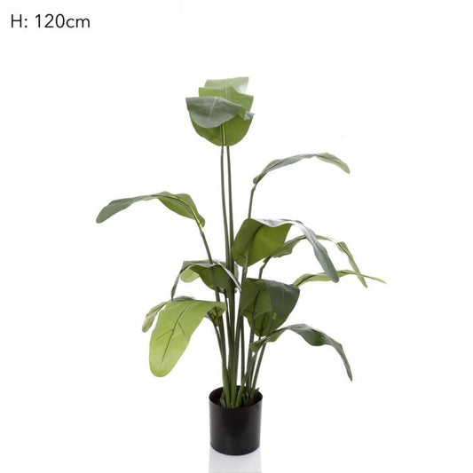 Travellers Palm 120cm W/14 Lvs-Accessories-Florabelle-Default Title---abc